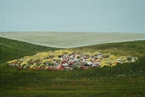 Image description is not available for 1984.034